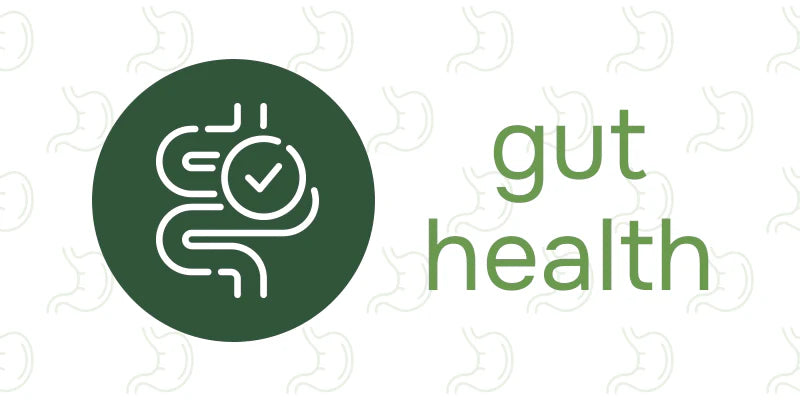 gut health