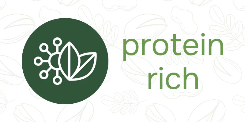 high-protein diet