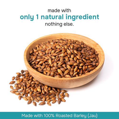 Barley Sattu Malt